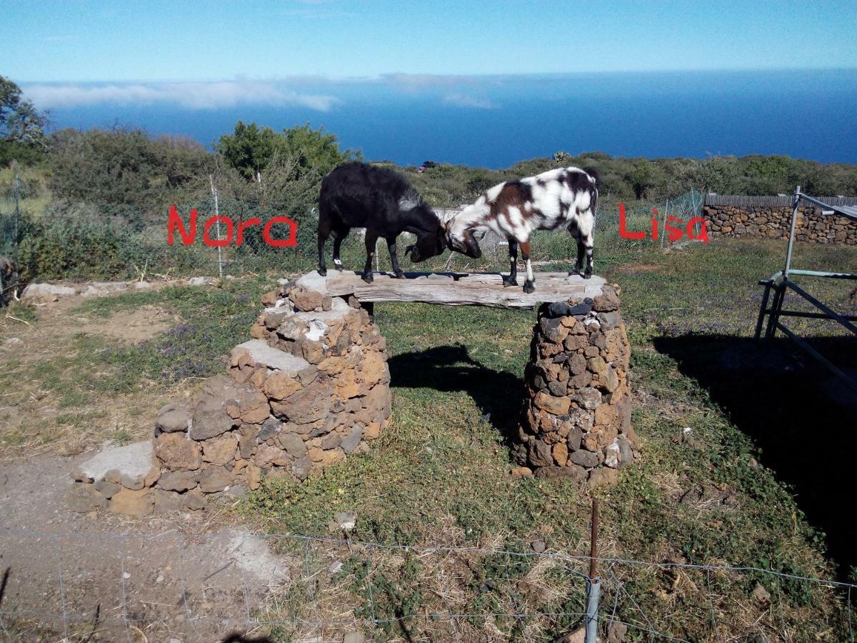 Finca La Ramona Isora Екстериор снимка